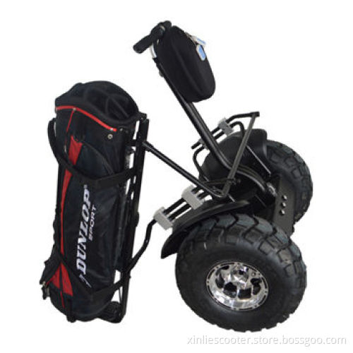 Modern mini electric golf cart for sightseeing